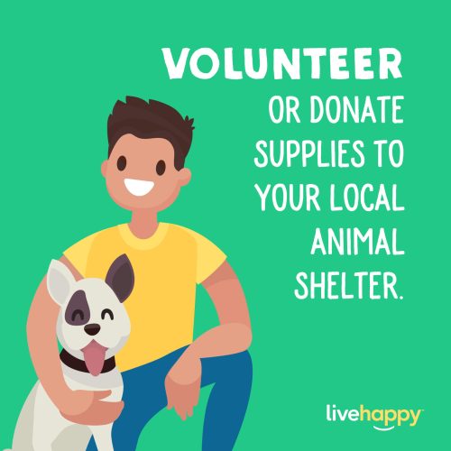 Volunteer or Donate Supplies to Your Local Animal Shelter | Live Happy